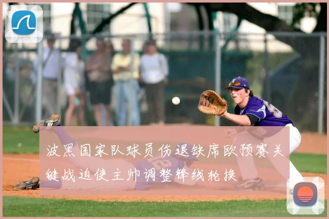 波黑国家队球员伤退缺席欧预赛关键战迫使主帅调整锋线轮换