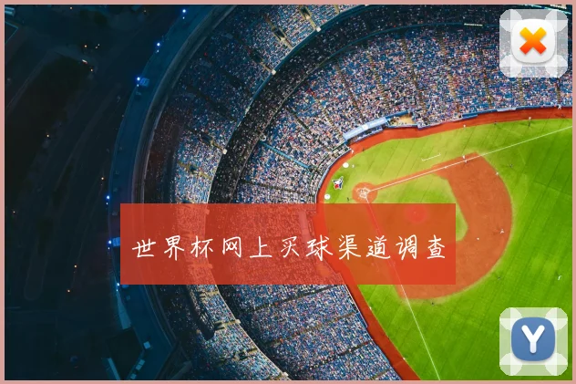 世界杯网上买球渠道调查