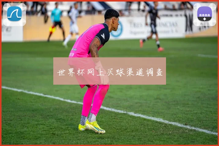 世界杯网上买球渠道调查