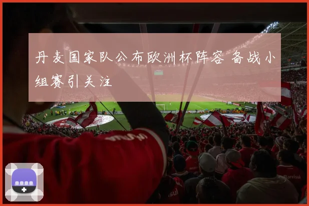 丹麦国家队公布欧洲杯阵容 备战小组赛引关注