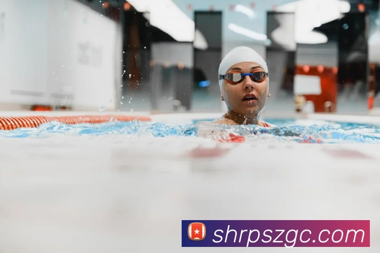 开云app在线入口APP 封面图